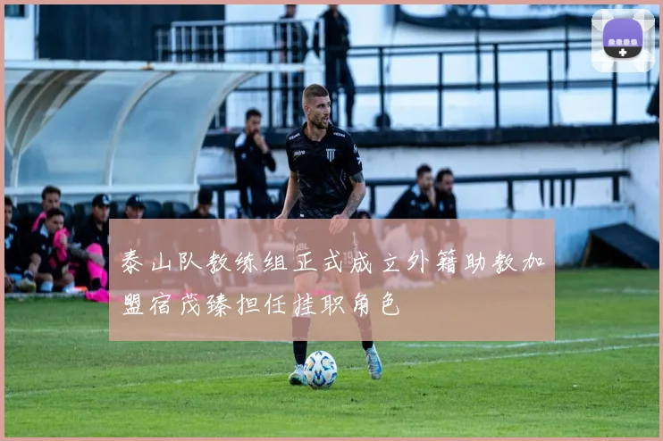 泰山队教练组正式成立外籍助教加盟宿茂臻担任挂职角色
